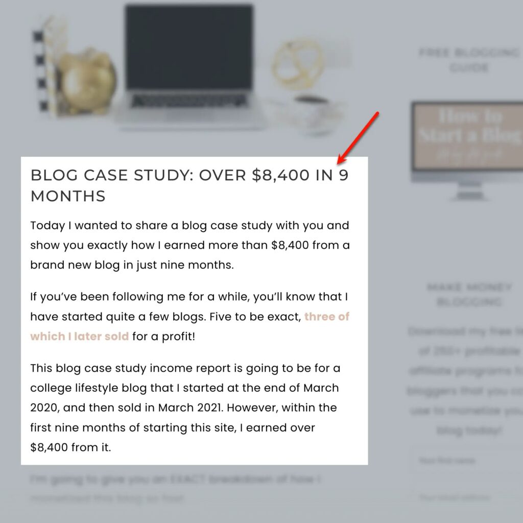 Blogging Her Way generated over $8,400 in 9 months