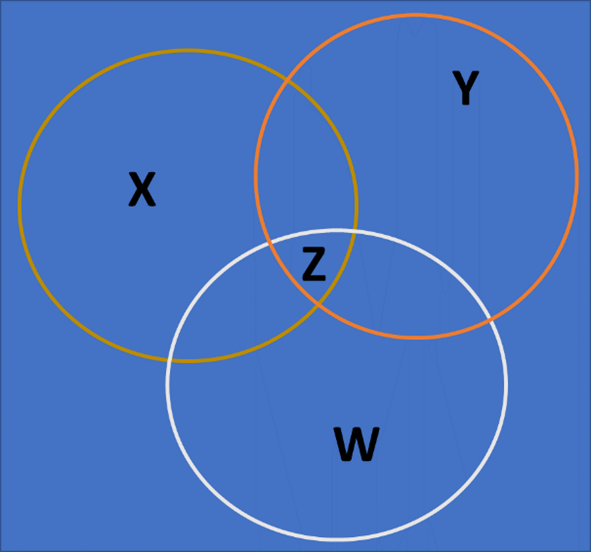 CS202 - Discrete Structures