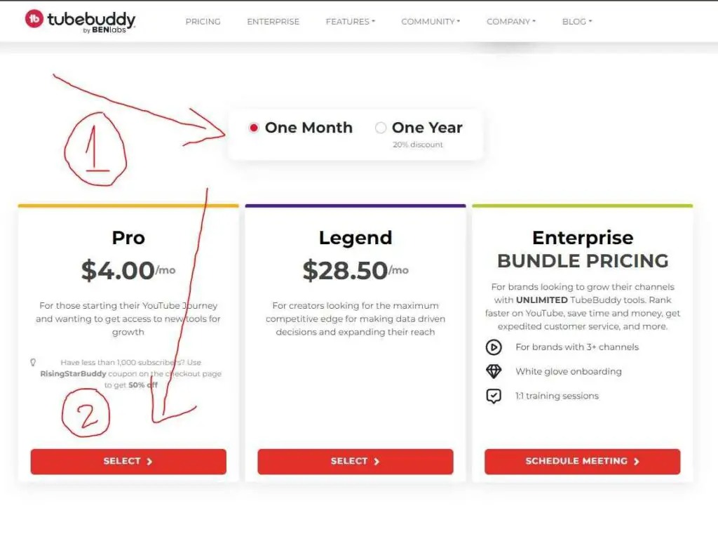 Step 3 - Choose Tubebuddy Pro Plan