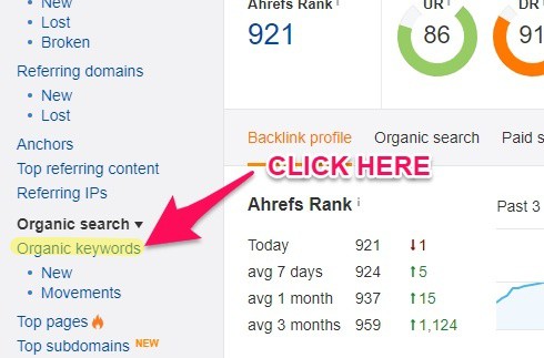 Ahrefs Organic Keyword