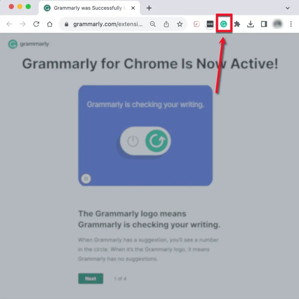 Grammarly Browser