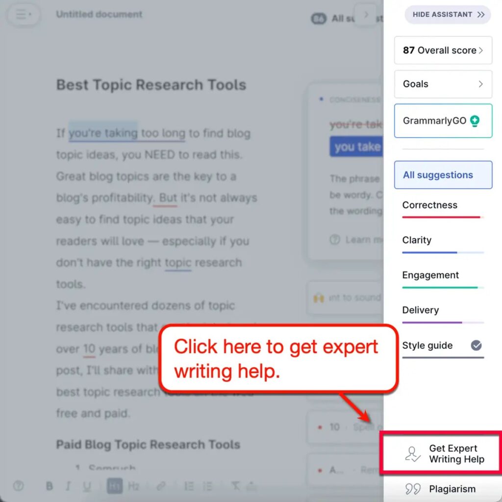 Grammarly Expert Writing Help