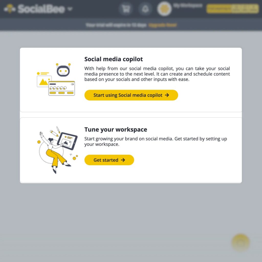 Social Bee