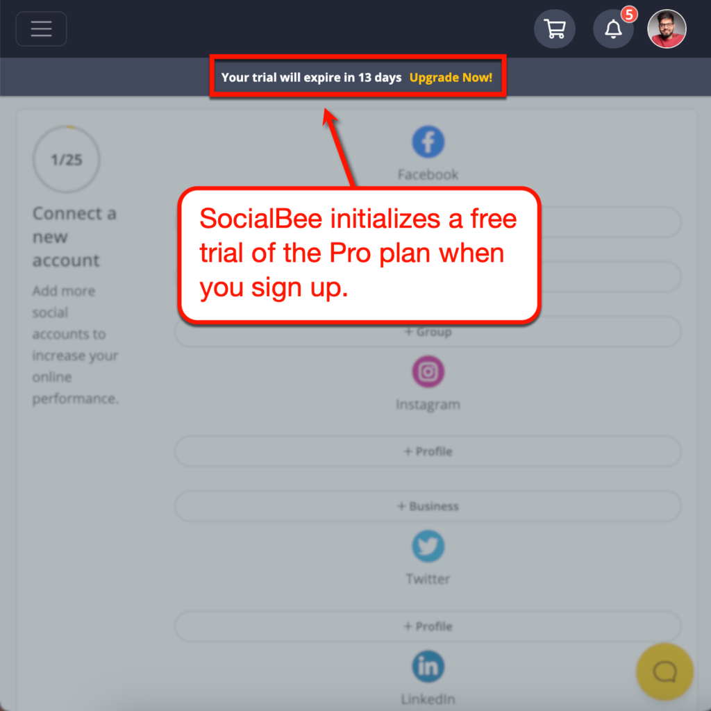 SocialBee Free Trial